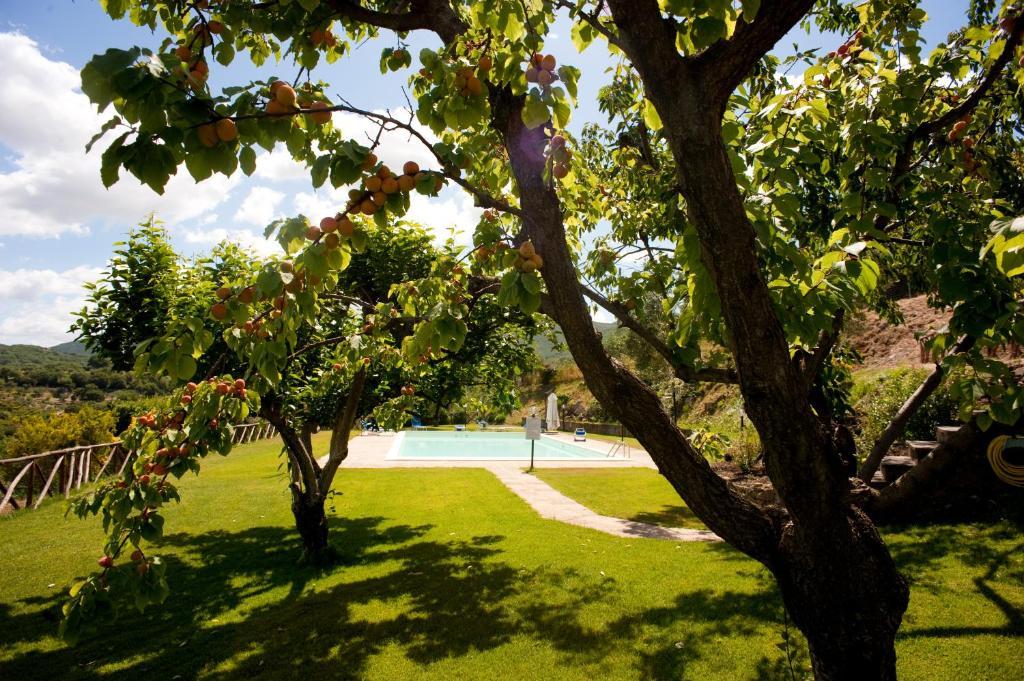 Villa La Cianella - Adult Only Scarlino Exterior foto